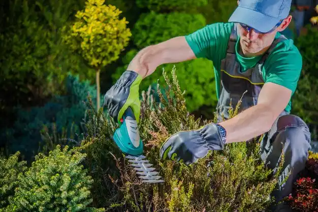 landscaping services Maumee